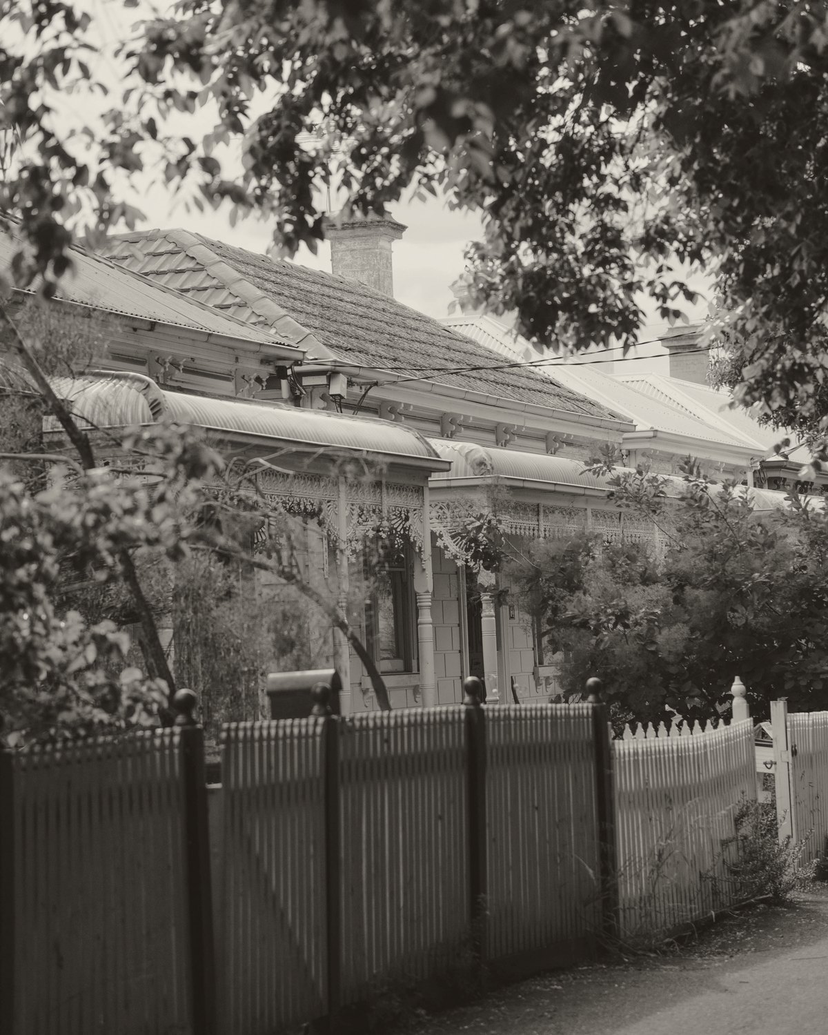 Classic Melbourne Victorian terrace houses on a leafy residential street